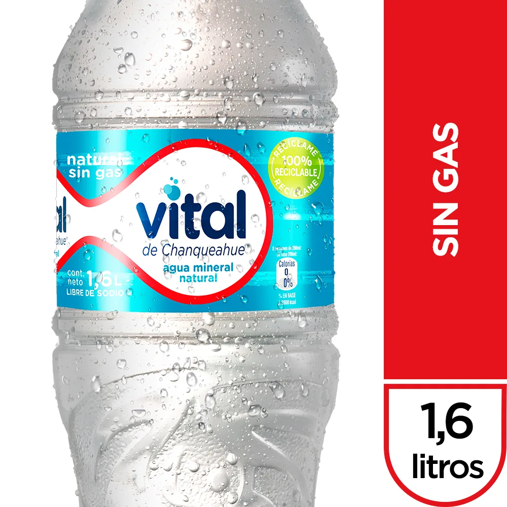 AGUA VITAL SIN GAS 1.6 LT